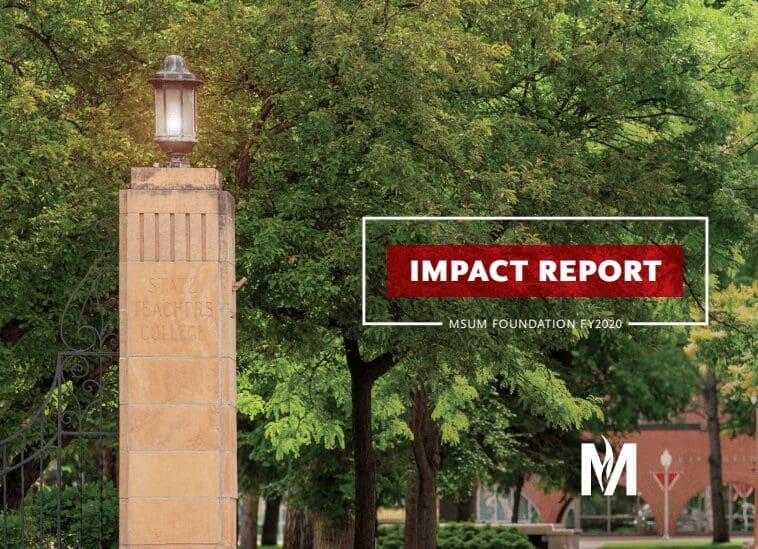 MSUM Impact Report 2020